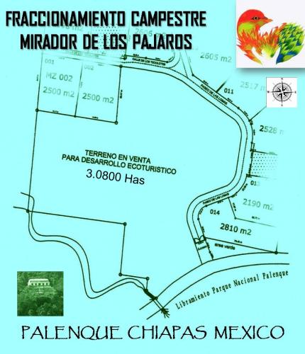 Terreno para realizar Desarrollo Eco Turismo. Palenque, Chiapas. México.