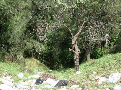 Terreno en Tecamachalco