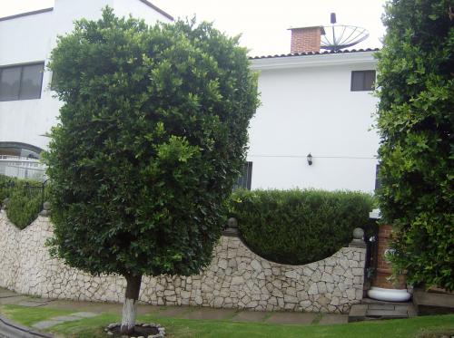 VENDO PRECIOSA CASA ZONA ZAVALETA