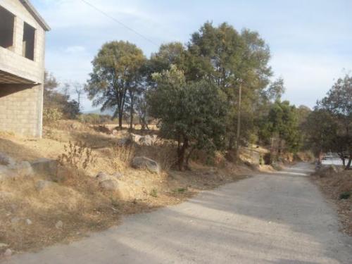 TERRENO RESIDENCIAL EL LLANITO A