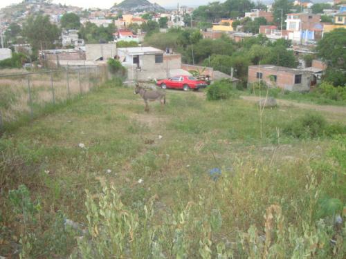 TERRENO CON TODOS LOS SERVICIOS EN LOSMAS DE TEMAXCALAPA , ATLIXCO, PUEBLA 