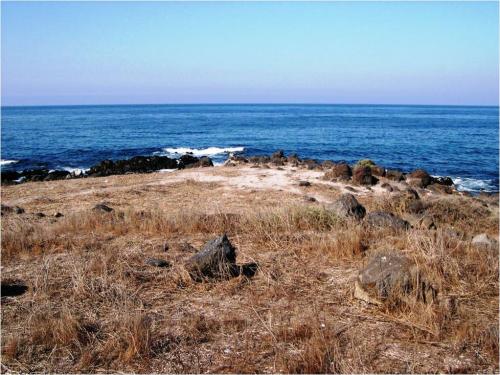 TERRENO 30 HECTAREAS CORREDOR TURISTICO TIJUANA-ENSENADA . Acceso y Vista al Mar
