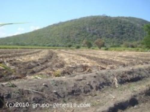 42 HECTAREAS EN ATZALA MATAMOROS PUEBLA AGUA DE POZO 