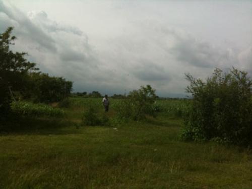 3 HECTAREAS E LA SABANA ATLIXCO PUEBLA CON AGUA DE POZO 