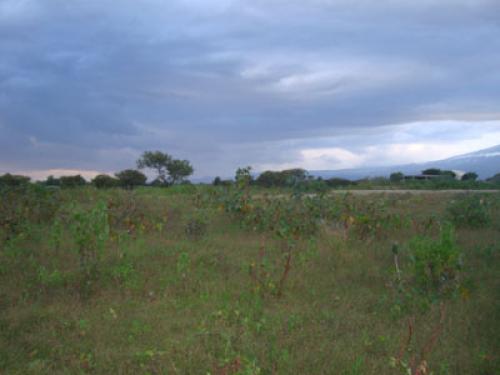 TERRENO DE 525 MTS EN SAN  DIEGO ACAPULCO  ATLIXCO PUEBLA 