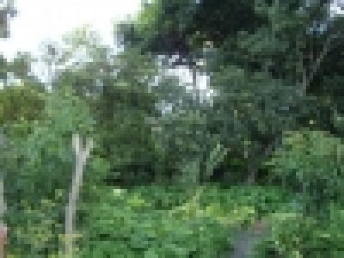 TERRENO DE 3600 MTS EN AXOCOPAN ATLIXCO PUEBLA TODOS LOS SERVICIOS 