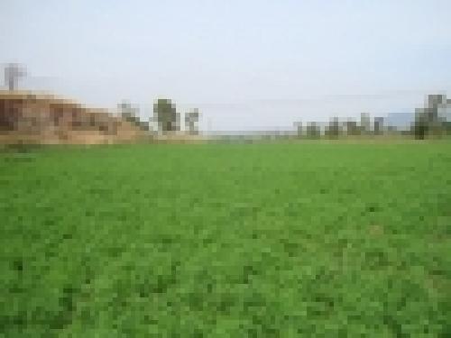 TERRENO EN VENTA EN SANTA ANA YACUITLAPAN ATLIXCO PUEBLA RIEGO 