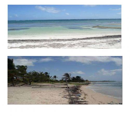 5 Lotes con frente de playa en El Uvero