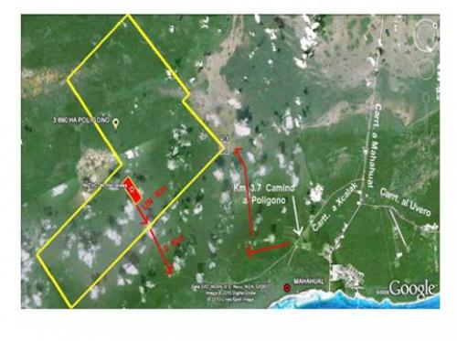  Mahahual POR VIAJE REMATO 10 HAS CADA UNA $110,000 pesos 