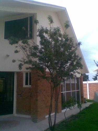  casa tipo californiano, con el mejor precio de la zona garantizado