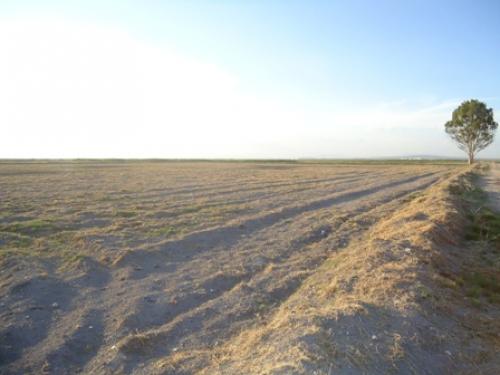 PARCELA UBICADA EN OZUMBILLA