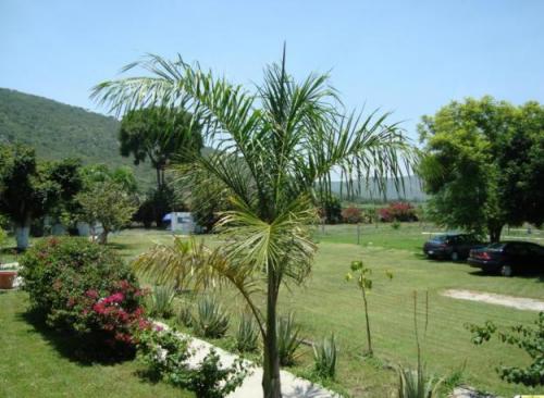 FABULOSOS TERRENOS A QUINCE MINUTOS DE CUAUTLA