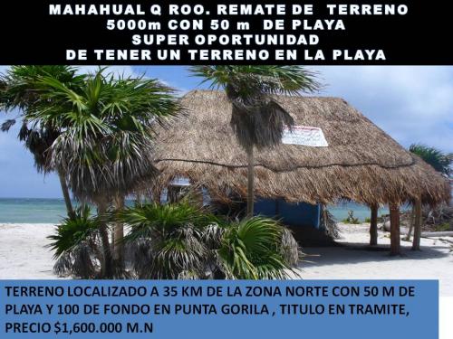 REMATO TERRENO CON PLAYA EN MAHAHUAL Q ROO