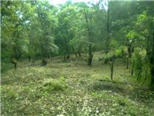 Terrenos en Tepoztlán, Morelos. Mexico