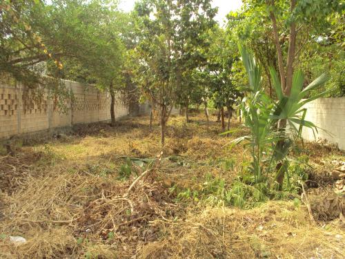 VENTA OPORTUNIDA TERRENO 425MT2 TITULADO