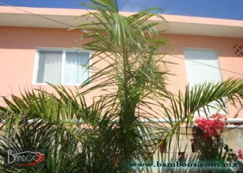 Estudio amueblado y equipado, cerca de la playa