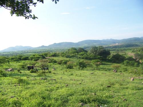 OFERTA DE LOTES, SOLO 10