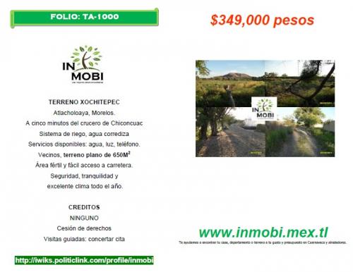 CERCA DE CHICONCUAC, XOCHITEPEC