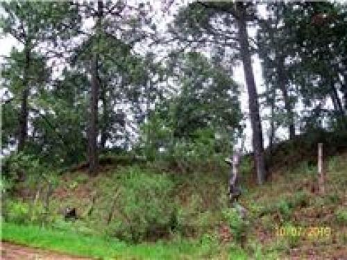 VENTA TERRENO  BARATO EN PONTEZUELAS