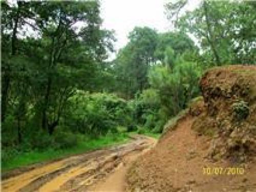 VENTA RANCHO PONTEZUELAS