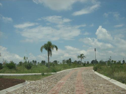 Terreno 1,500 mts Residencial. San Miguel de Allende