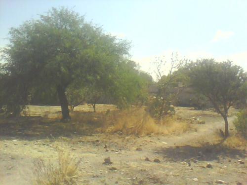 TERRENO SOLARES BANTHI. SAN JUAN DEL RÍO, QRO. $280,000.00