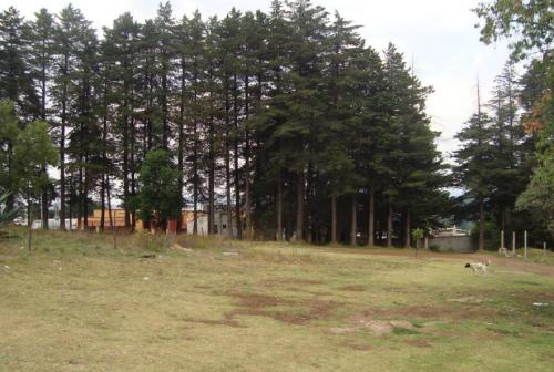 VENDO 1200MTS DE TERRENO EN EL ORO DE HIDALGO ESTADO DE MEXICO