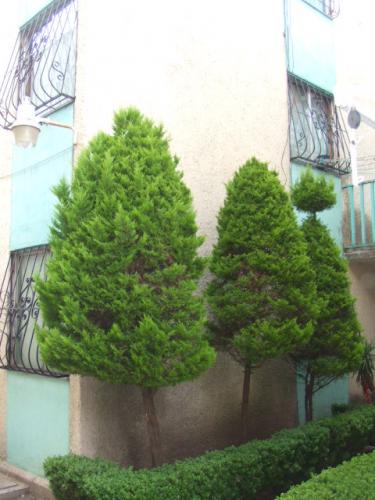 DEPARTAMENTO DUPLEX COL. ZAPOTITLA