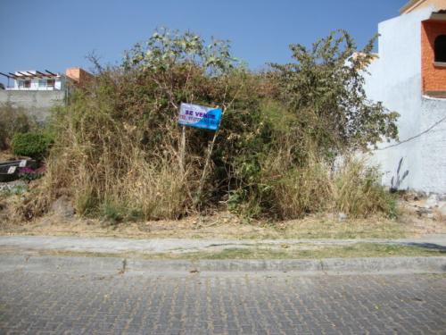 terreno en calle principal de burgos bugambilias