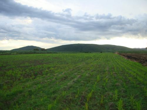 TERRENO 18 MIL MTS  DE SIEMBRA  CON RIEGO EN COYULA ATLIXCO PUEBLA A TRATAR