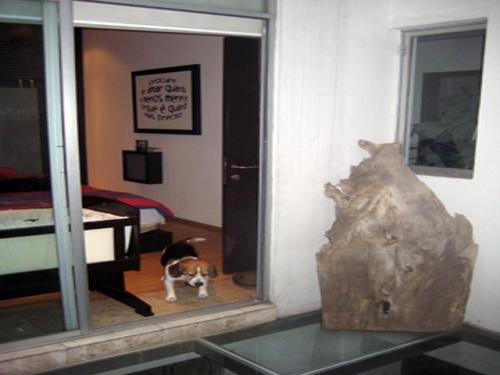 Oficina en Condesa, Casa uso de suelo