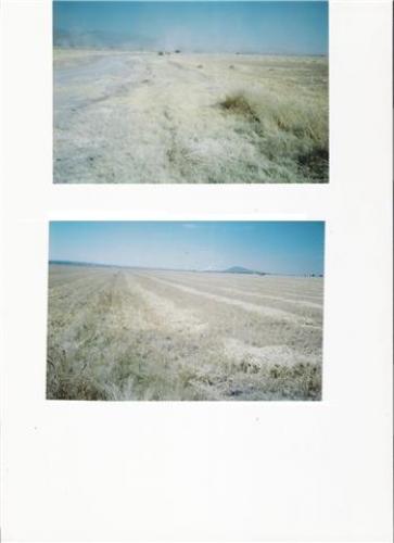 VENDO PARCELA EJIDAL EN TOLCAYUCA,HGO.