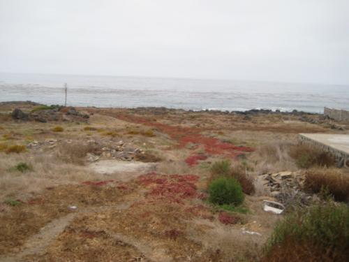 TERRENO 5,000 M2 EJIDO URSULO GALVAN, ENSENADA. acceso y Vista al MAR