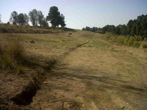 Venta de Terreno COMPLETO o en LOTES – San Isidro Buen Suceso, San Pablo del Monte, Tlax. CP 90890