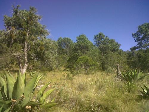 Venta de Terreno – VISTA HERMOSA, Terrenate, Tlax. CP 90540