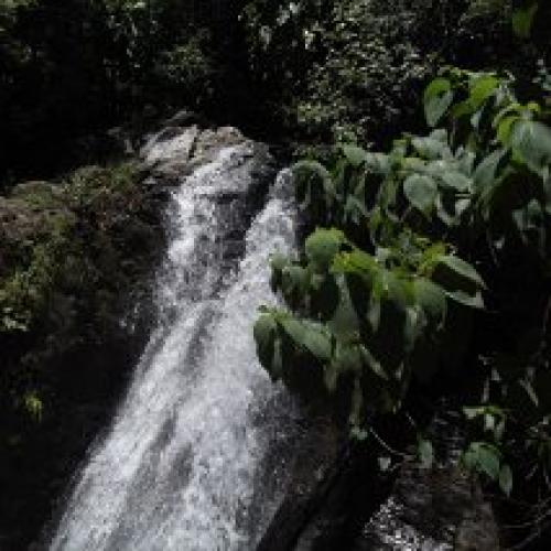 RANCHO DE 100 HECTÁREAS.