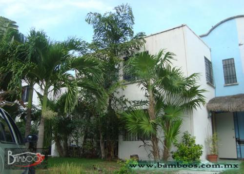 Linda casa 2 rec. amueblada, seguridad