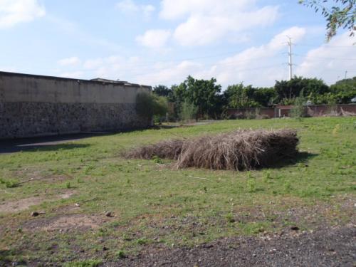 Avenida México y Los Cubos 33,000 m2