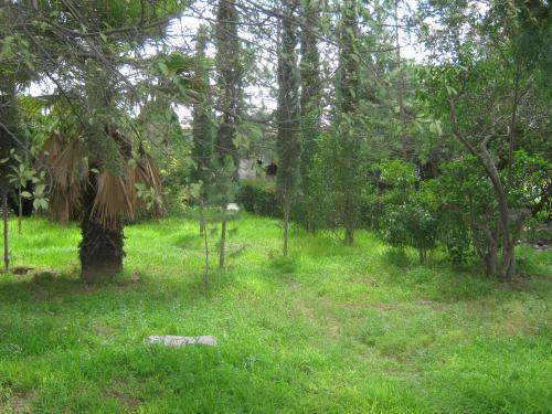 Gran Terreno con dos casas