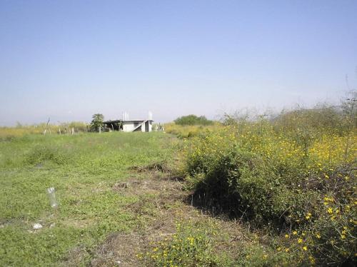 URGE LLAME YA!!! VENDO *HERMOSO Y GRANDE TERRENO* 12,000 M2 $350 X M2. MN. CARRETERA TEQUES-BONANZA