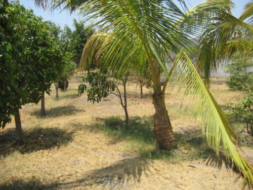 URGE!!! REMATAMOS TERRENO AMIGOS :) M=1500 M2. $530,000 MN. NEGOCIABLE :) COL. NICOLAS BRAVO JOJUTLA :)