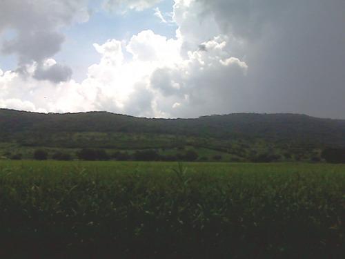 terreno Paraiso Dorado, Campo Palo amarillo