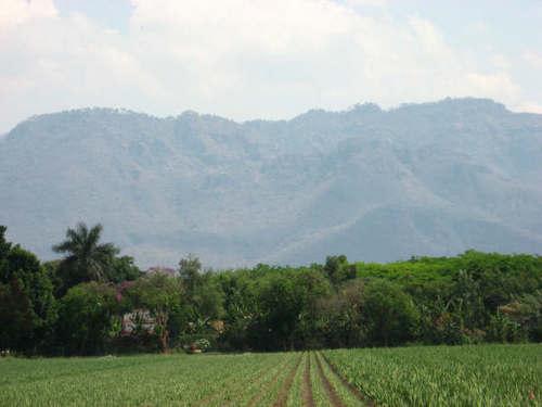 TERRENOS Residencial Itzamatitlan