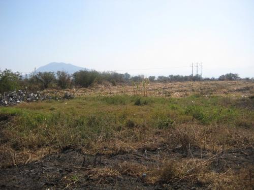 VENDO PARCELA M=24835 M2. $450,000 MN. TLAQUILTENANGO ¡¡LLAME YA!!