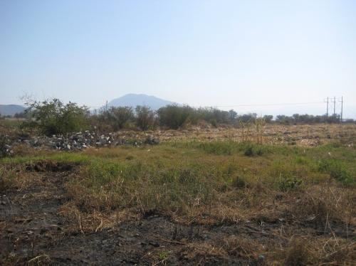 AMIGOS :) VENDO PARCELA + DE 2 HECTÁREAS $450,000 MN. TLAQUILTENANGO. A 10min. DE *EL ROLLO* ¡¡llame ya!!