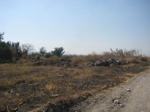 VENDO PARCELA M=22,336 M2. $550,000 MN. EL TEXCAL TLAQUILTENANGO ¡¡LLAME YA!! URGE!!