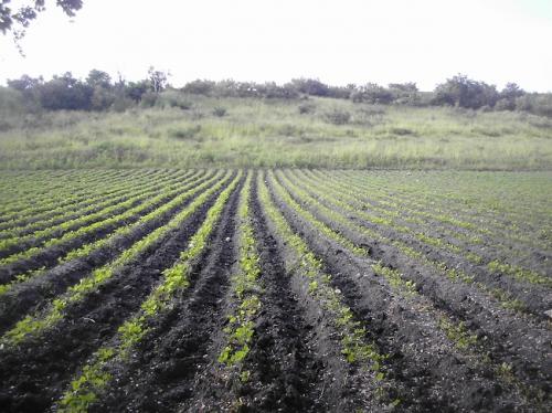 VENDO PARCELA ¡¡LAME YA!! P/+INF.