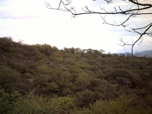 VENDO PARCELA MIDE:113,803 M2. $25 X M2. MN. ¡¡LLAME!! P/+INF.