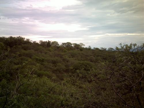 VENDO PARCELA SOBRE LA CARRETERA HIGUERÓN-NEXPA ¡¡LLAME!! P/+INF.