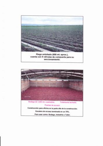 Se vende rancho en salamanca Gto., 18 hectáreas.